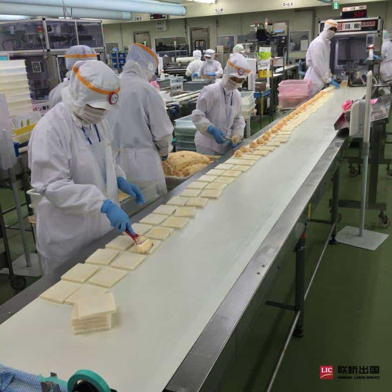 三明治汉堡加工女工(图4)