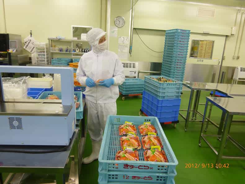 盒饭加工女工(图2)